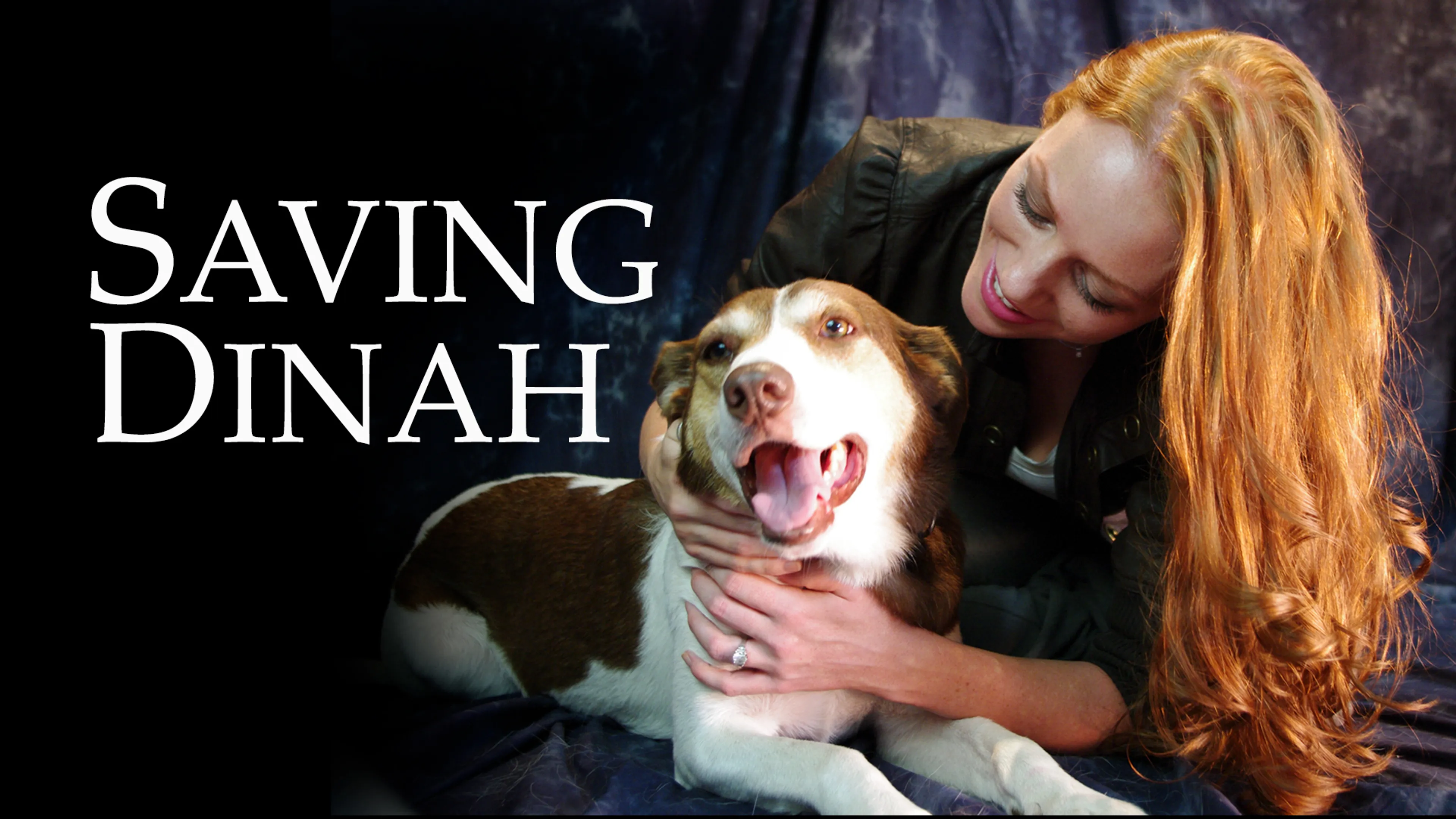 Saving Dinah poster